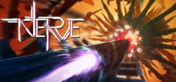 NERVE