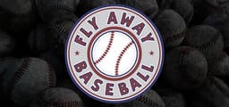 Fly Away Baseball
