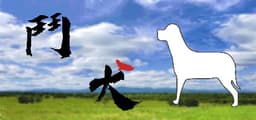 鬥犬 Dog Fighting