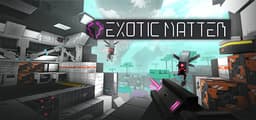 Exotic Matter